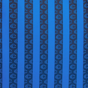 Puma Chivas Third 25/26 Jersey L