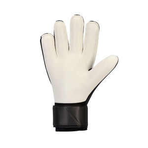 NK GK MATCH - HO24 10