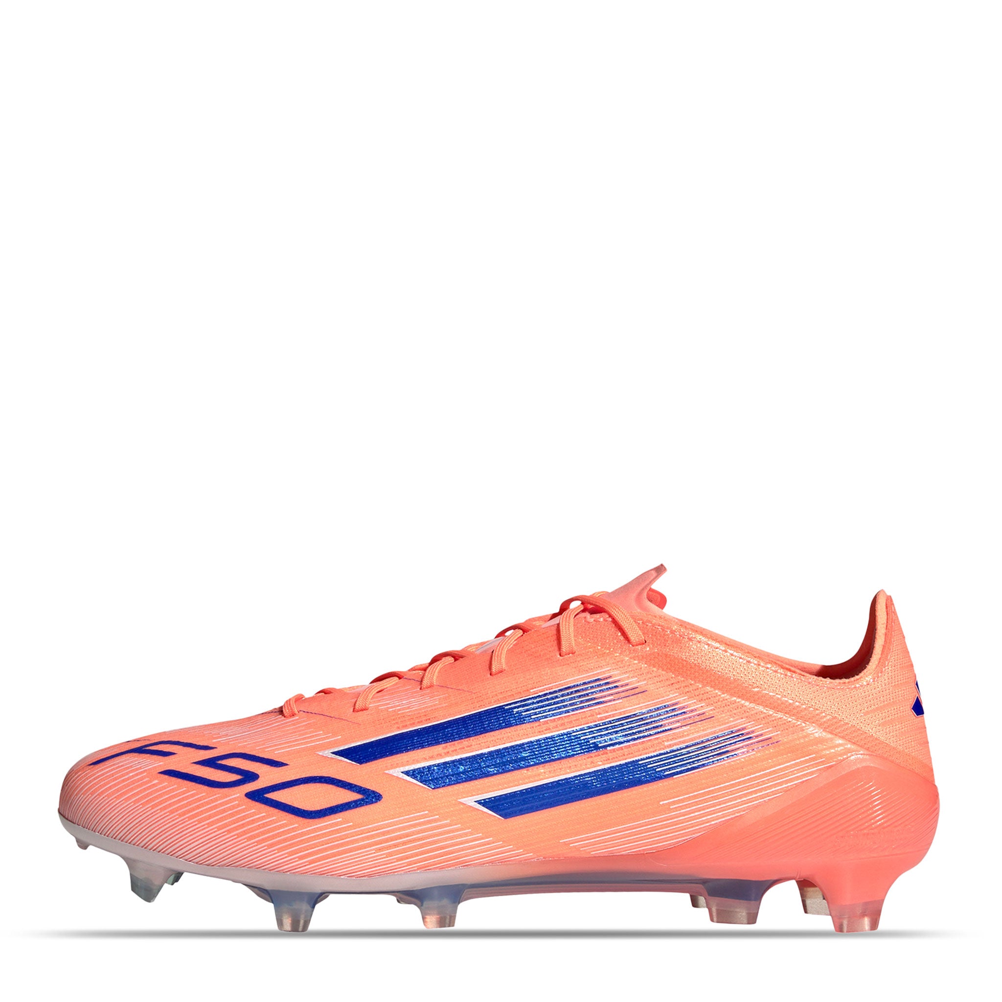 F50+ élite