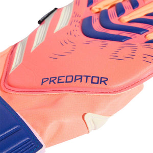 PRED GL MTC FSJ 4