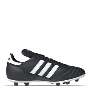 COPA MUNDIAL--04 de Junio 12