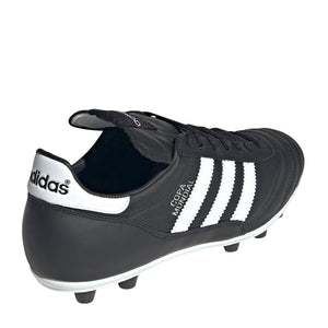 COPA MUNDIAL--04 de Junio 12