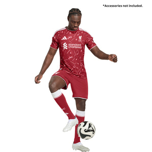 LFC H JSY AU ACTMAR--04 de Junio L