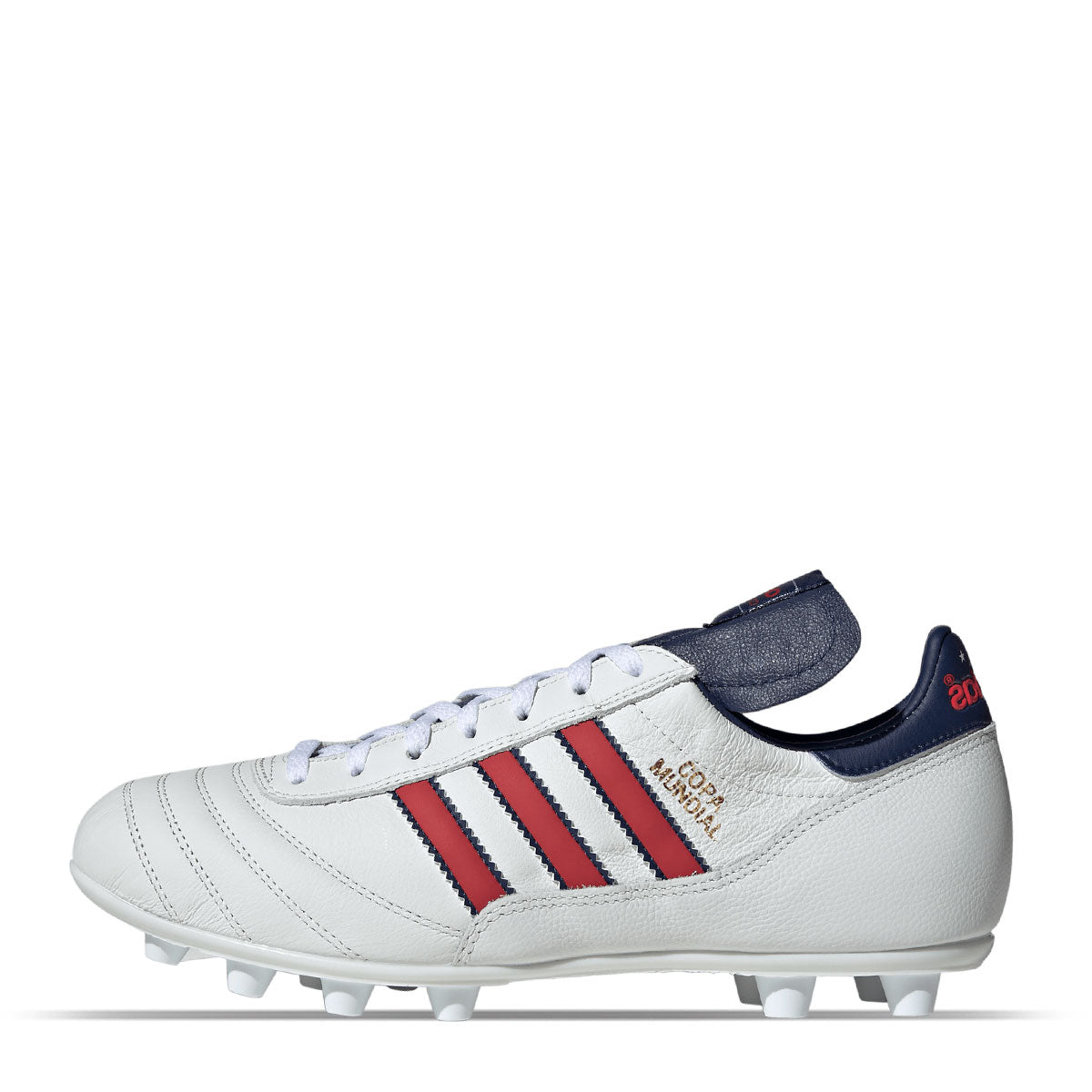 COPA MUNDIAL 10