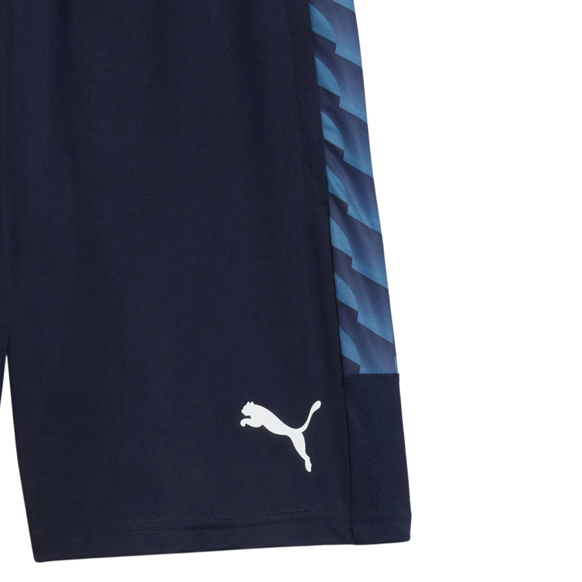TEAMLIGA26 TRAINING SHORTS L