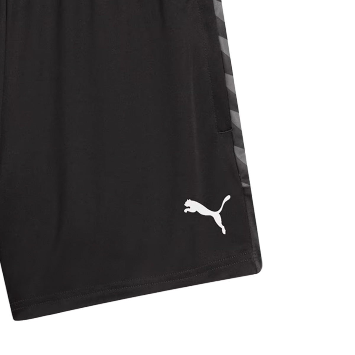 TEAMLIGA26 TRAINING SHORTS W L