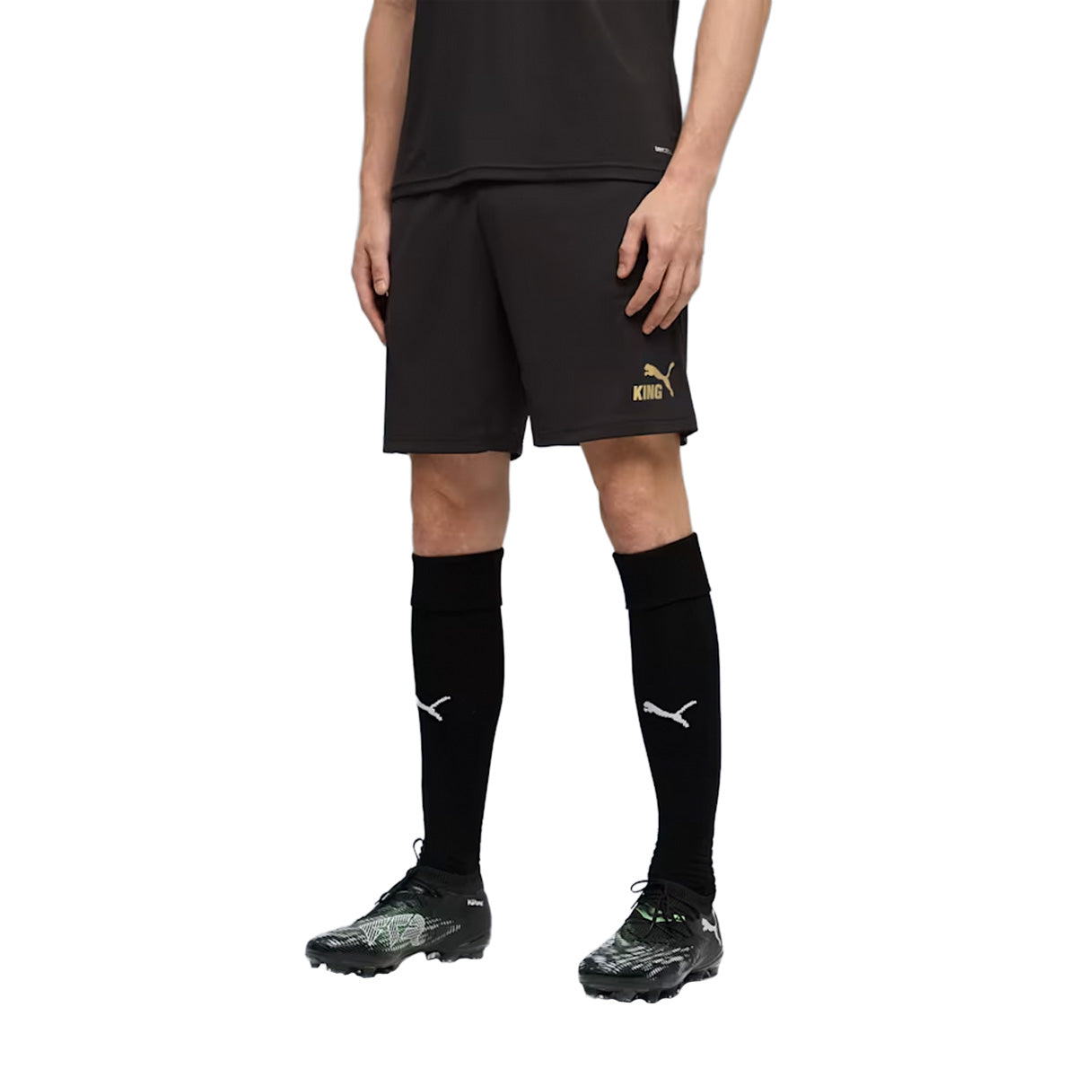 KINGTOUCH SHORTS L