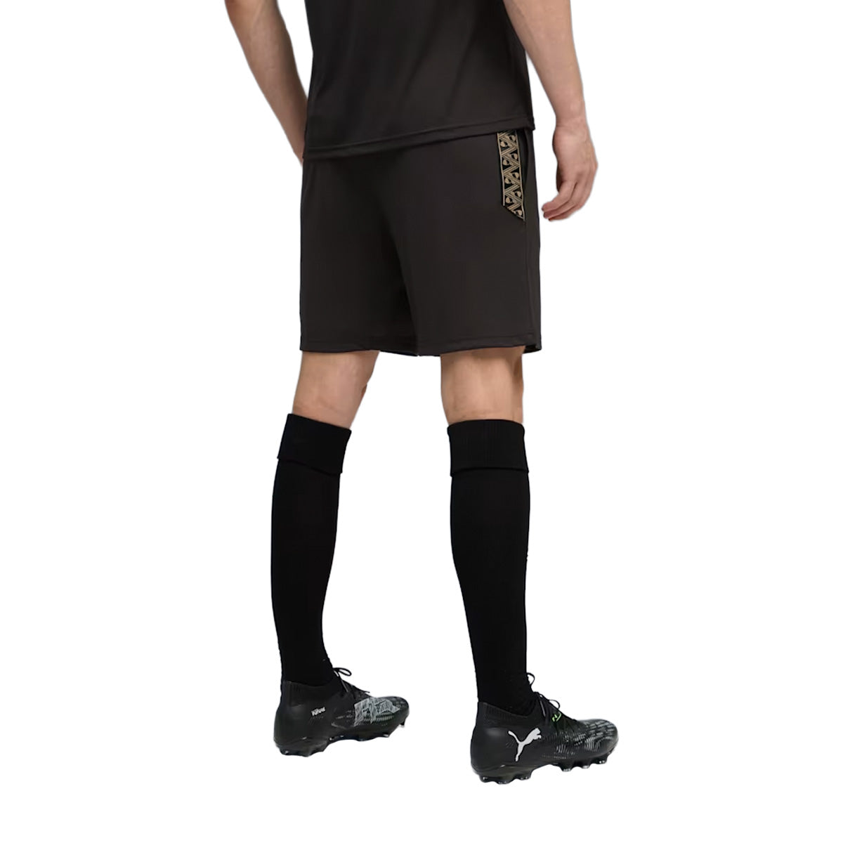 KINGTOUCH SHORTS L
