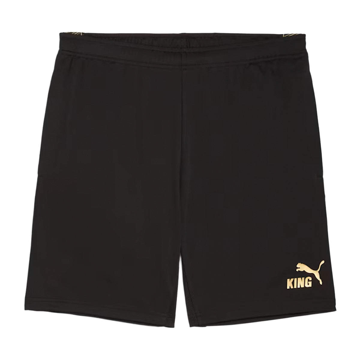 KINGTOUCH SHORTS L