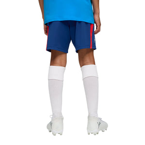 NEYMAR JR PLAYMAKER TRAINING SHORT JR L