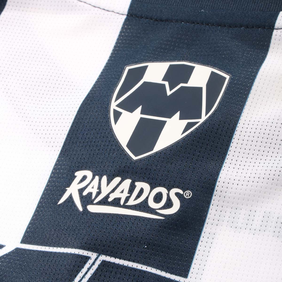 Puma Rayados 26/27 Home Replica Jersey L