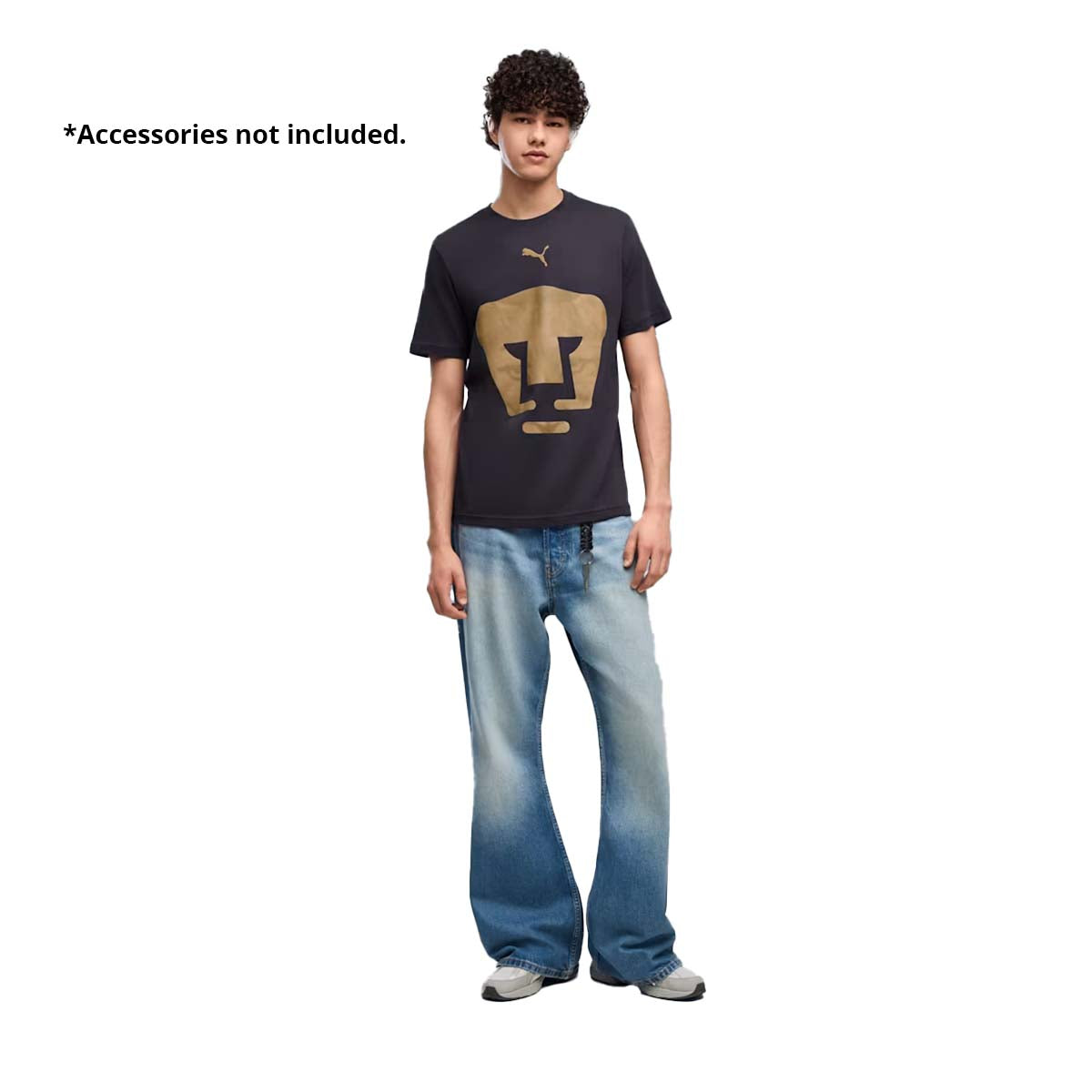 PUMAS GRAPHIC TEE CULTURE TAKE DOWN 1 L