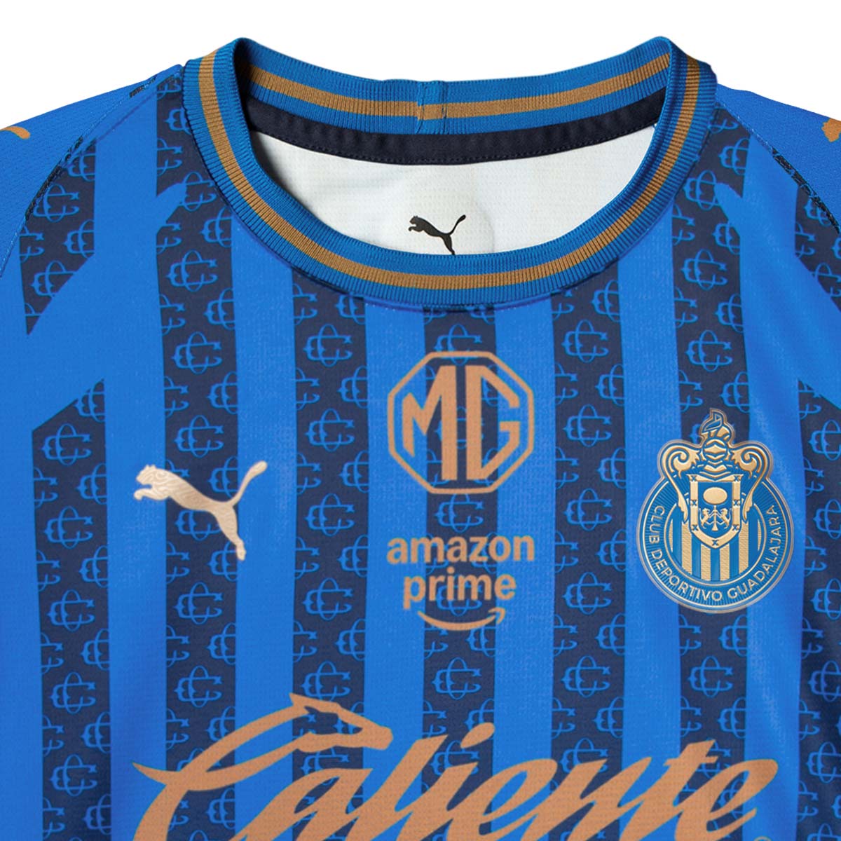 Puma Chivas Third 25/26 Jersey L