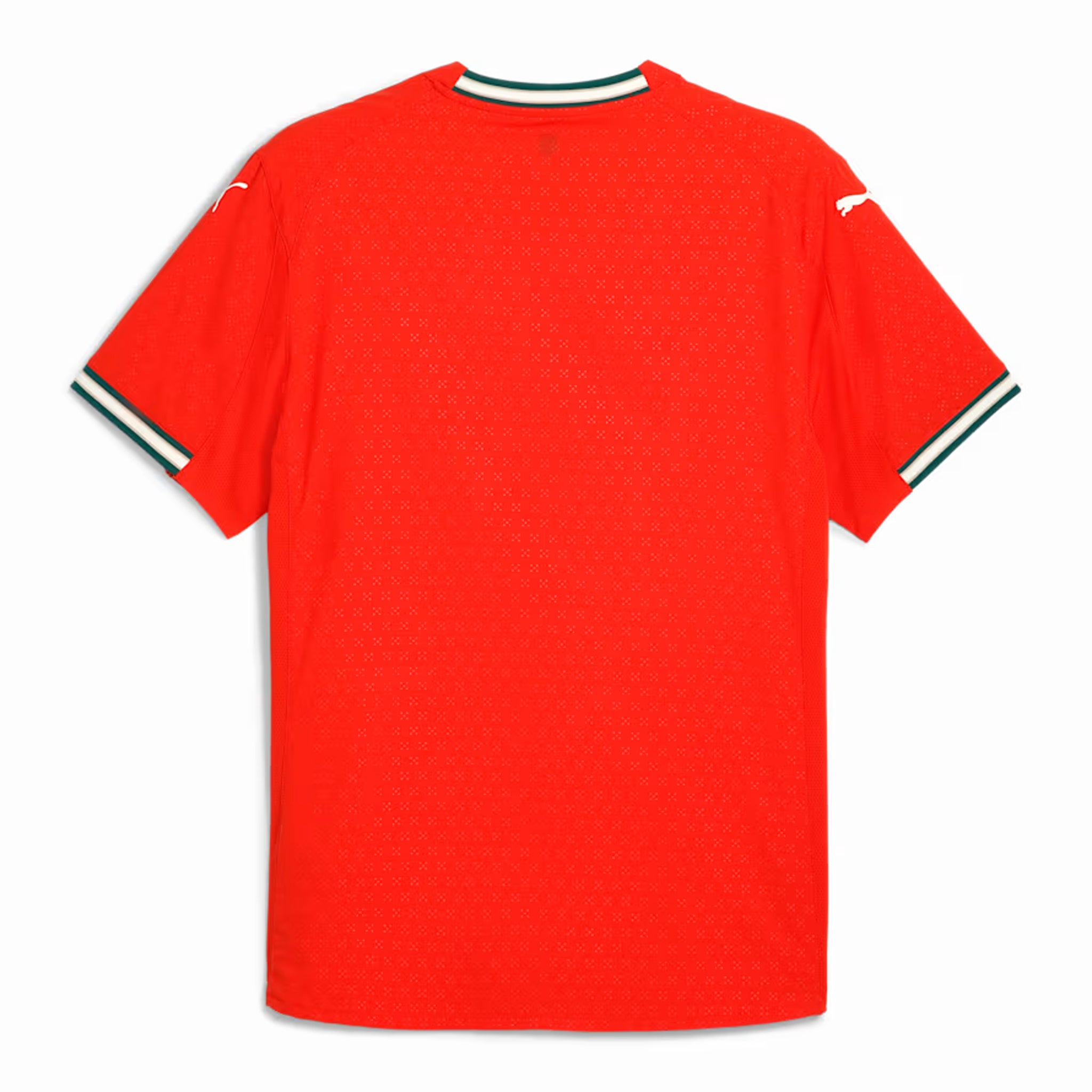 puma portugal 2025 authentic home jersey L