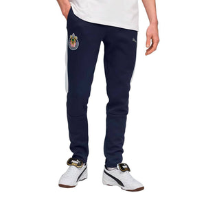 CHG EVOSTRIPE PANTS , BLUE L