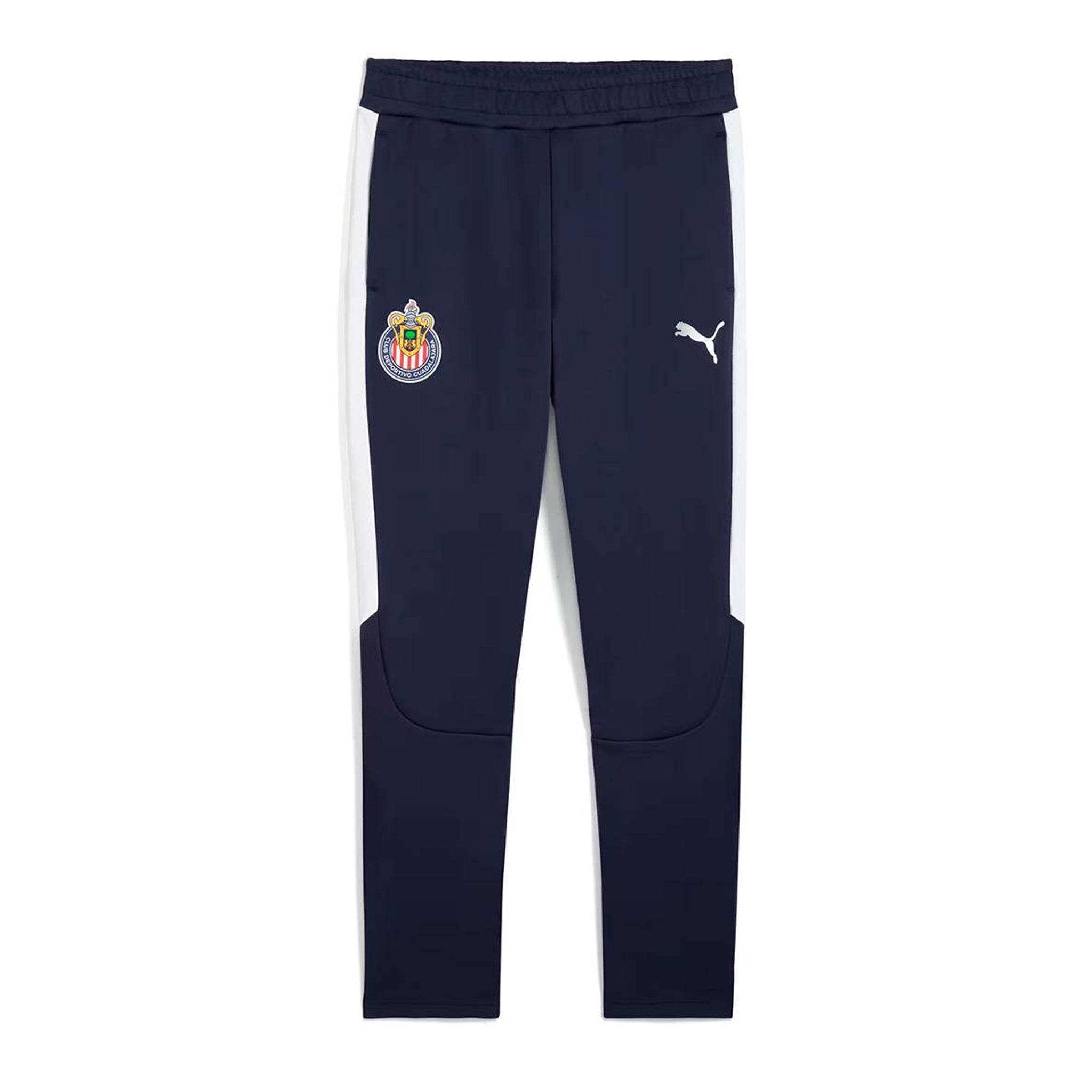 CHG EVOSTRIPE PANTS , BLUE L