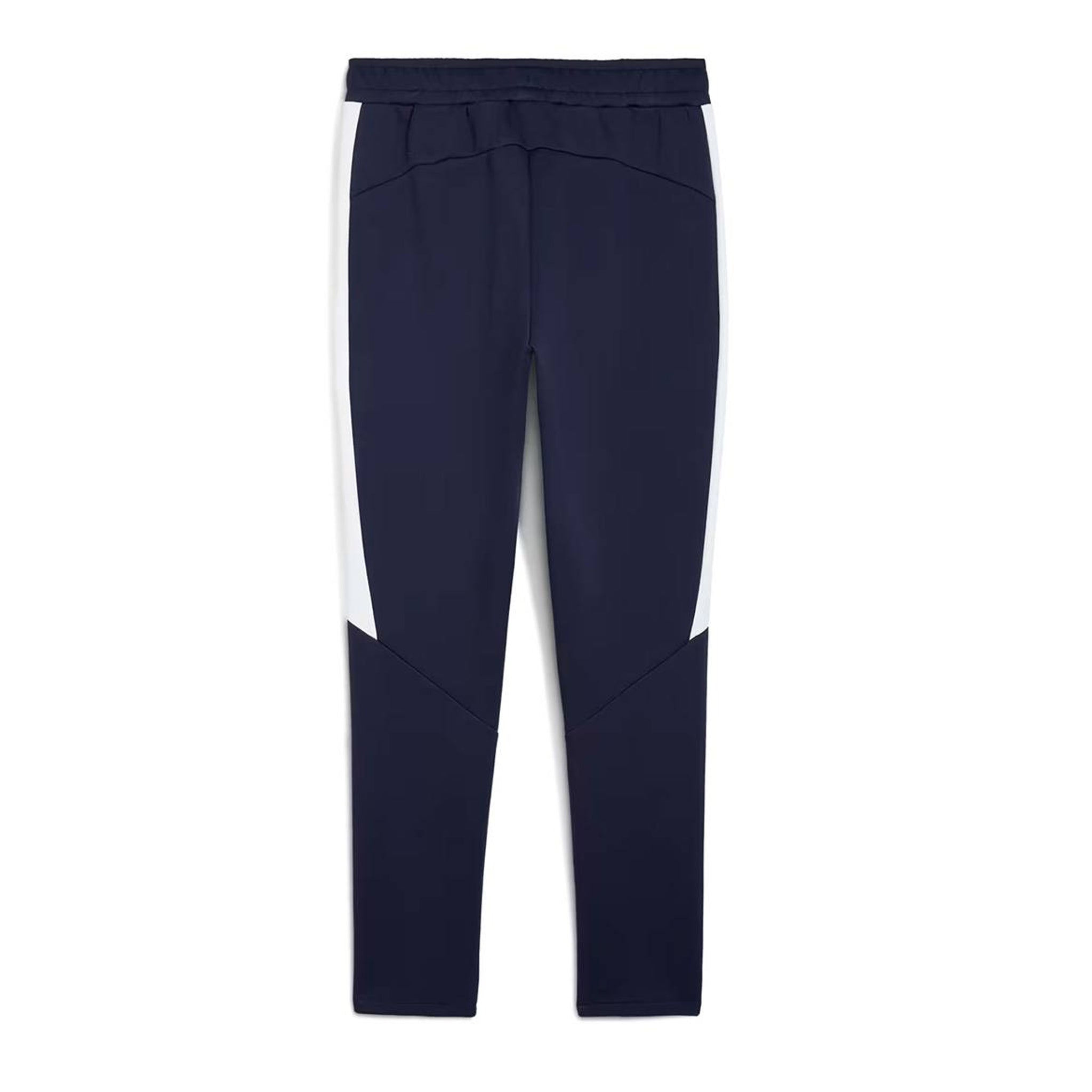 CHG EVOSTRIPE PANTS , BLUE L