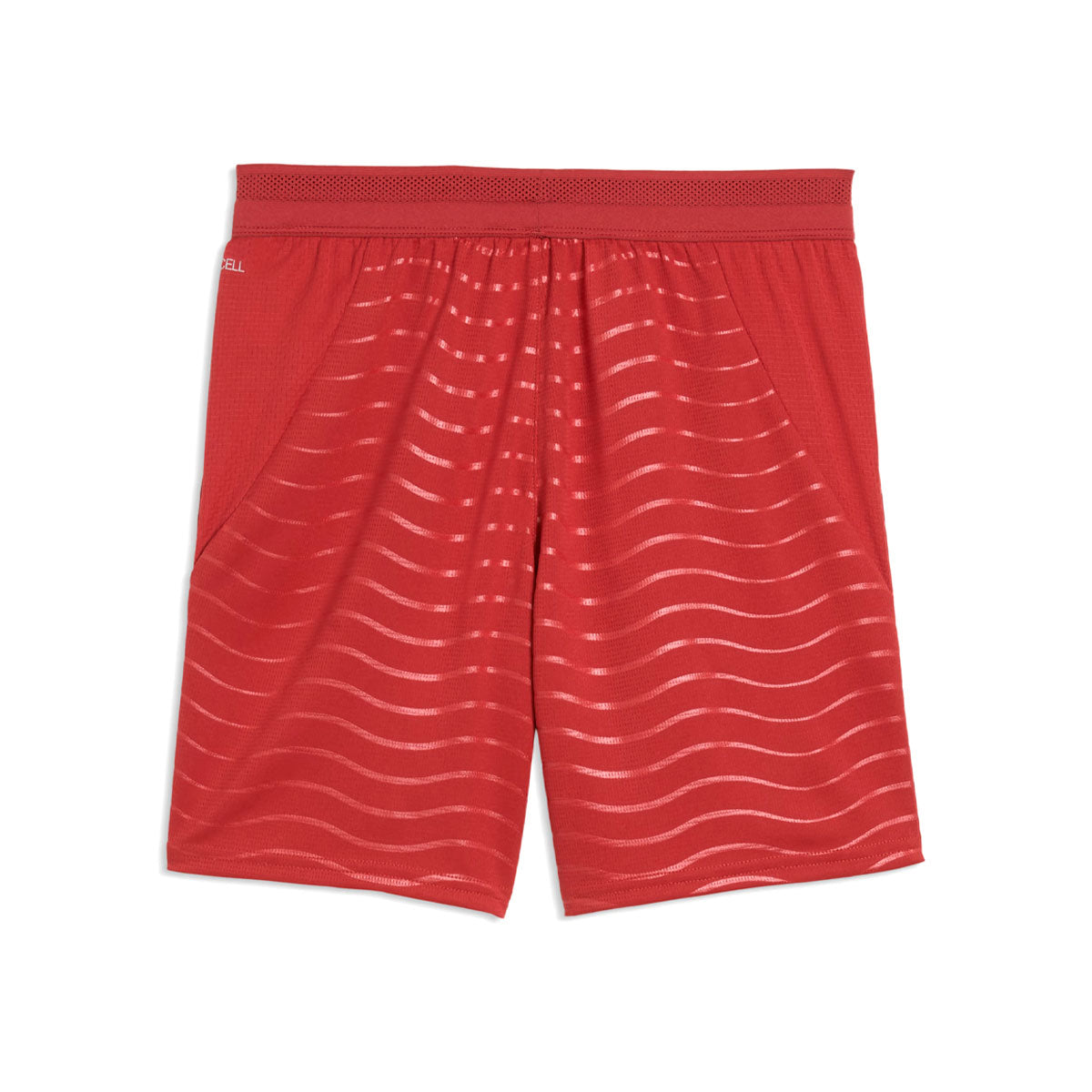 Puma FPF Replica Shorts L