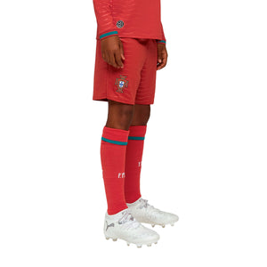 Puma FPF Replica Shorts L