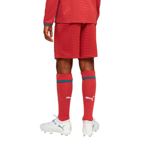 Puma FPF Replica Shorts L