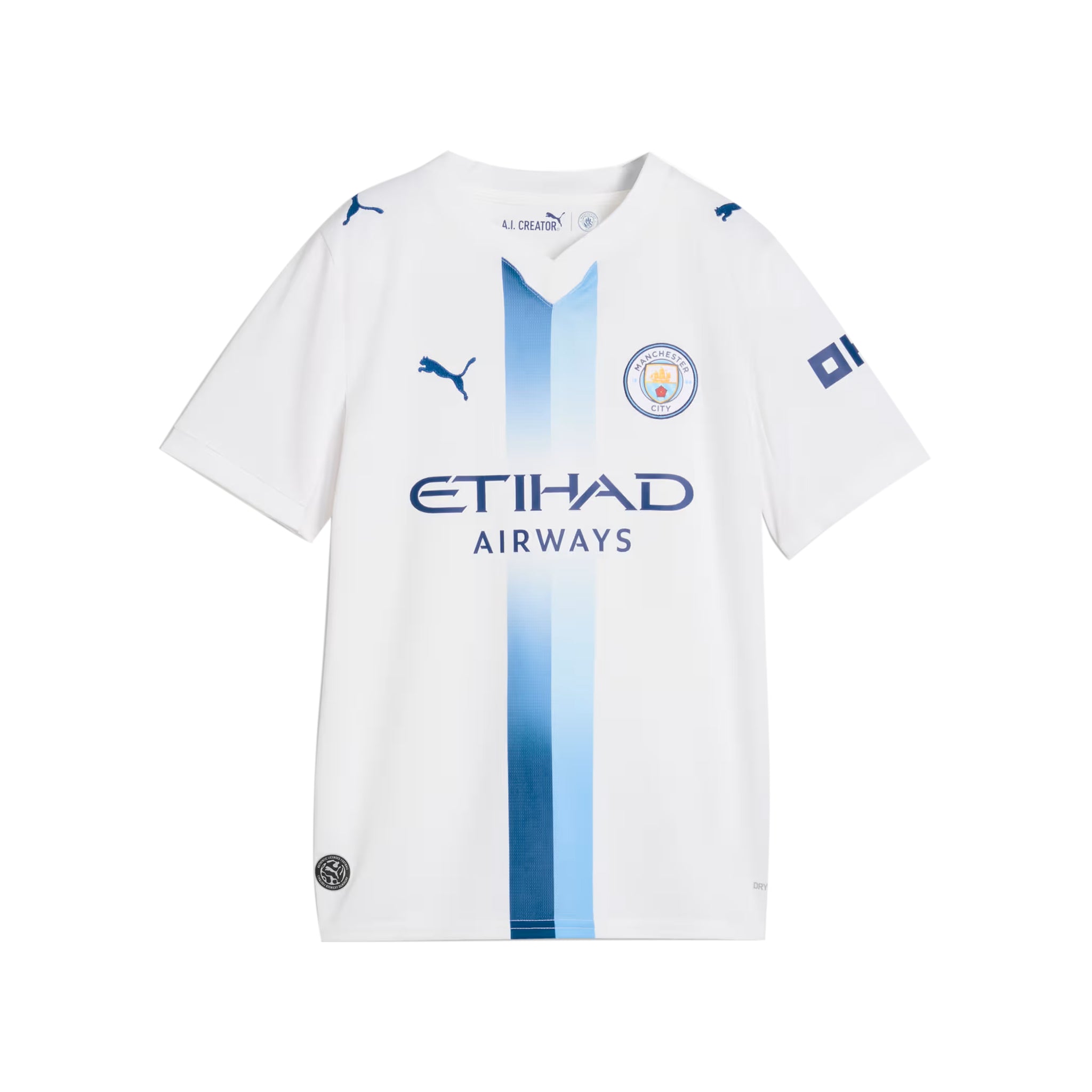MCFC THIRD JERSEY REPLICA JR L