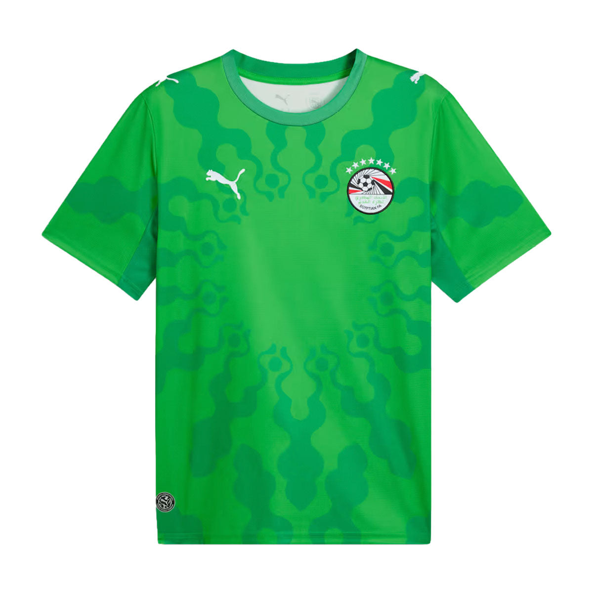 PUMA X EFA X SALEHE BEMBURY REPLICA MATC , GREEN--04 de Junio L