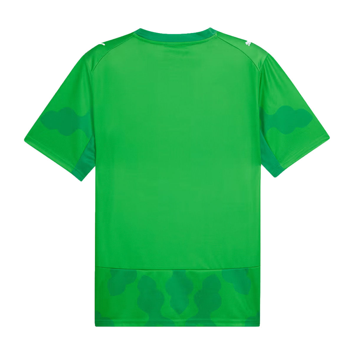 PUMA X EFA X SALEHE BEMBURY REPLICA MATC , GREEN--04 de Junio L