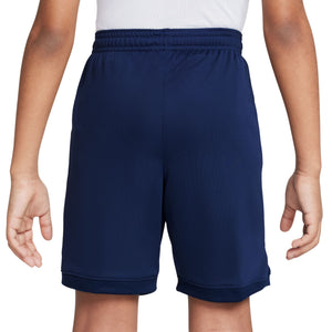 Nike Academy25 Dri‑FIT Shorts – L
