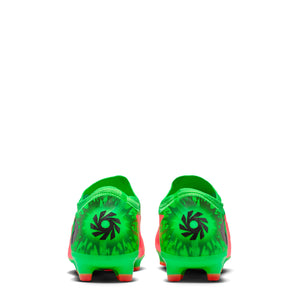 PHANTOM 6 LOW PRO FG EH 10