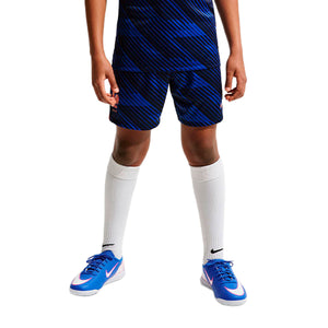 FFF Y NK DF SHORT STAD HM L