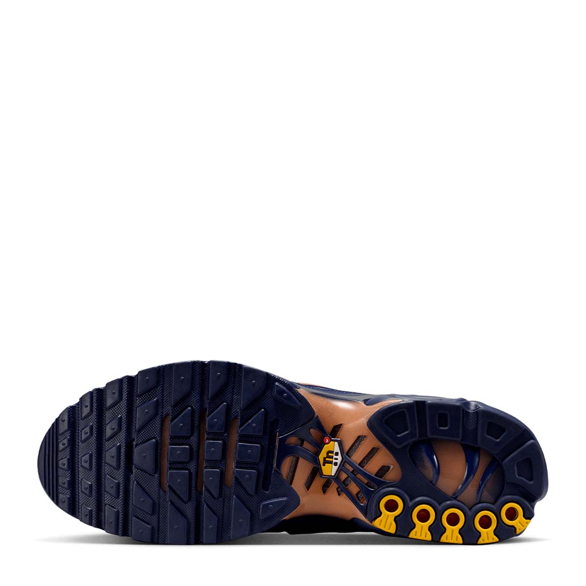 NIKE AIR MAX PLUS OG "FFF" 10