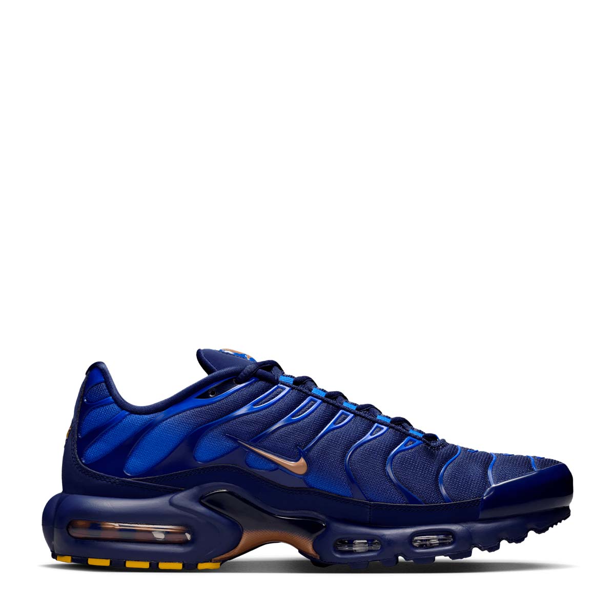 NIKE AIR MAX PLUS OG "FFF" 10
