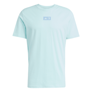 adidas Juventus Seasonal Graphic T-Shirt L