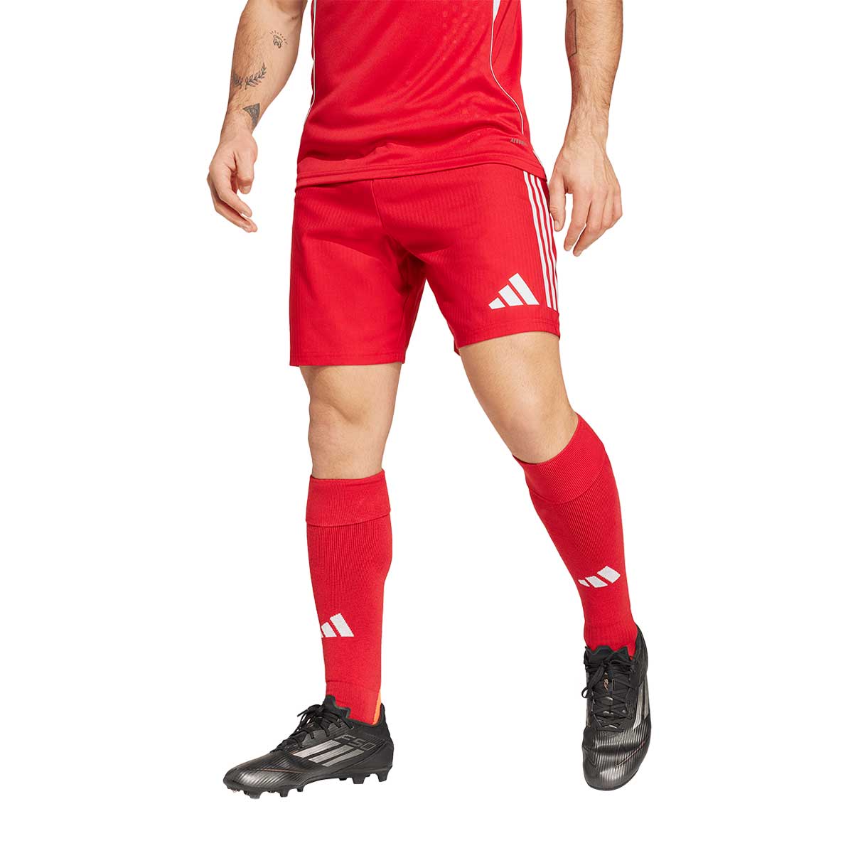 TIRO25 C M SHOM TEPORE/TMLGGR L