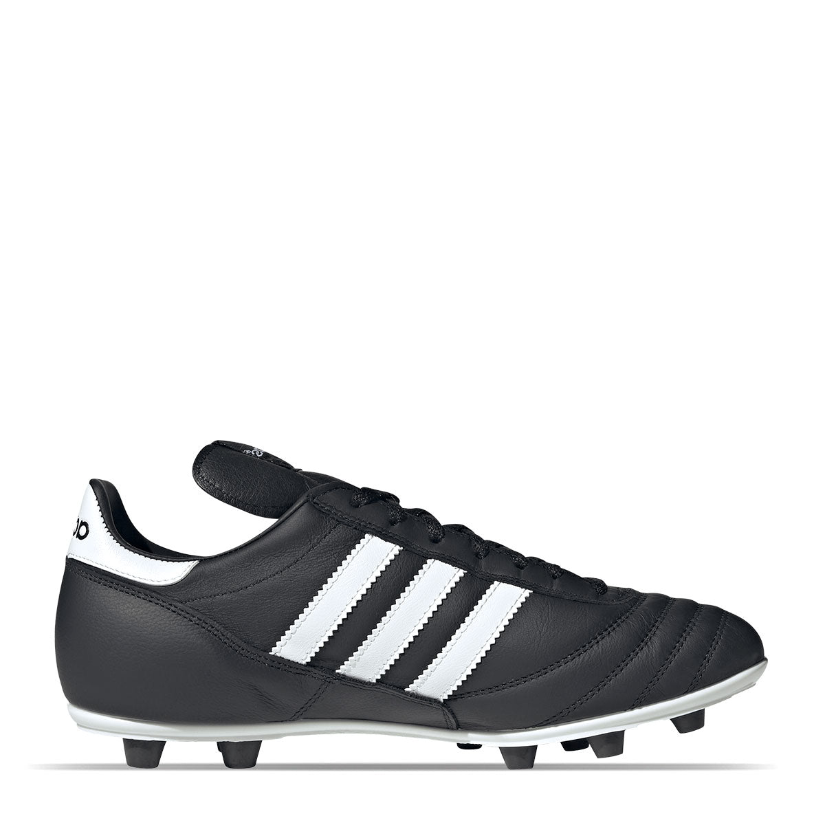 COPA MUNDIAL--04 de Junio 12