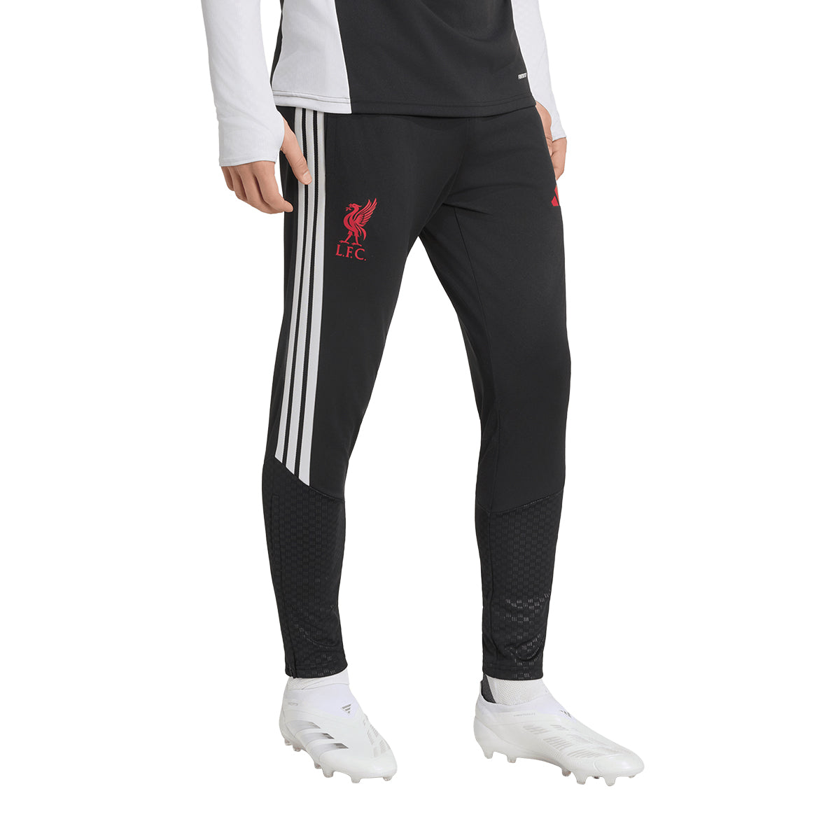 LFC TR PNT BLACK L