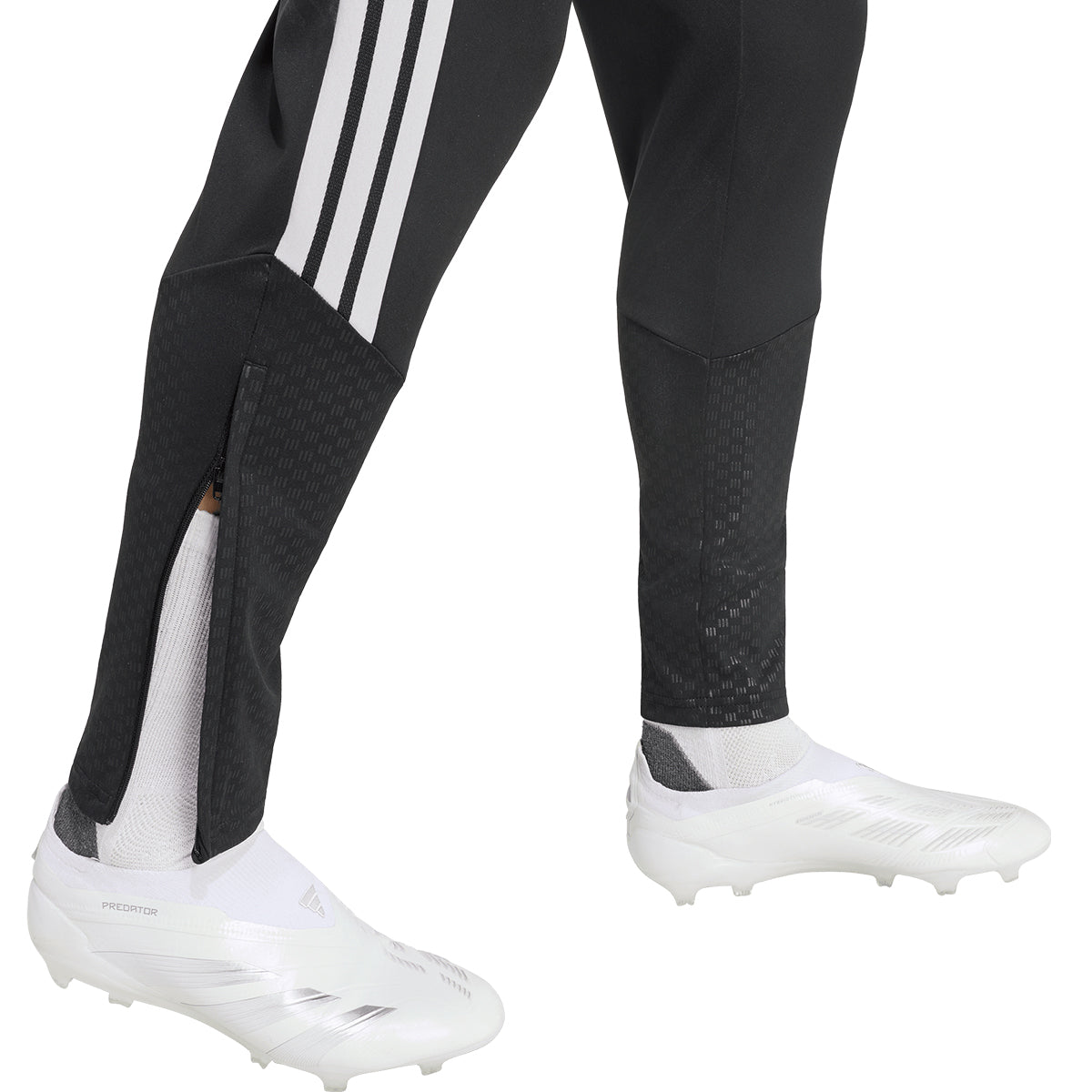 LFC TR PNT BLACK L