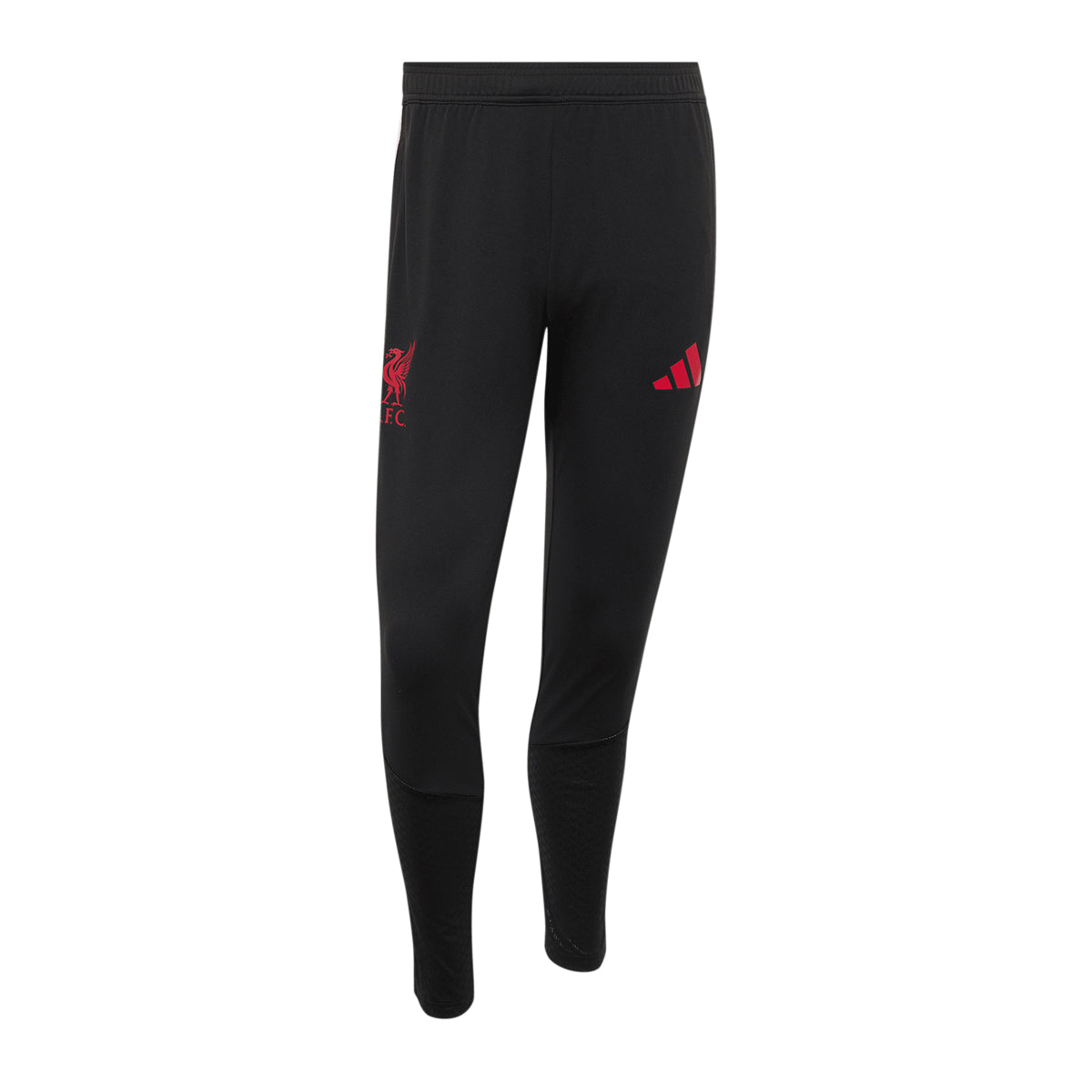 LFC TR PNT BLACK L