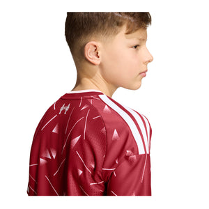 LFC H JSY AUY ACTMAR--04 de Junio L