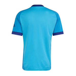 adidas Arsenal FC 26/27 Goalkeeper Away Jersey L