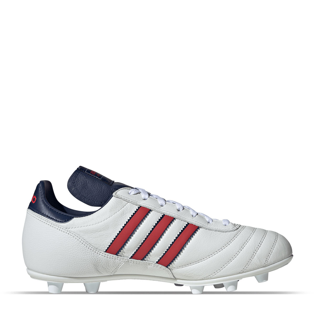 COPA MUNDIAL 10