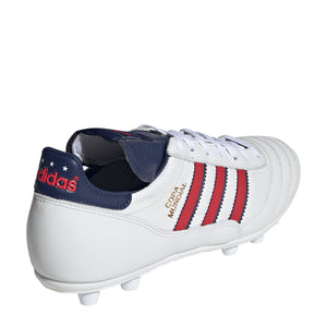 COPA MUNDIAL 10
