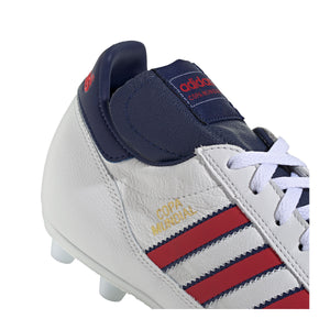 COPA MUNDIAL 10