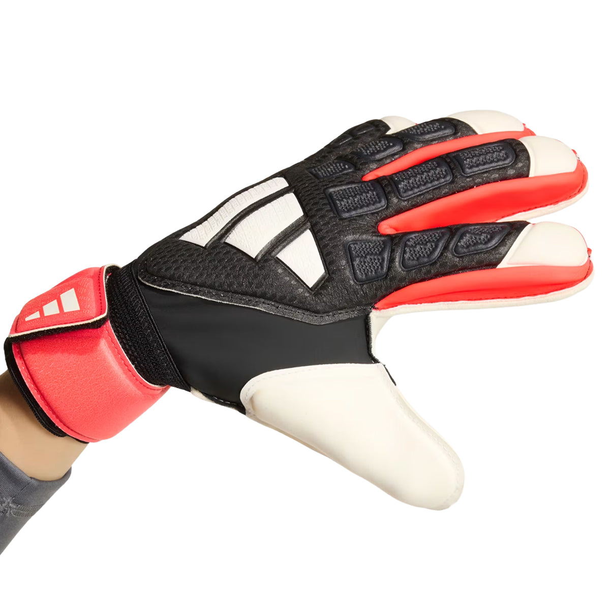 PRED GL MTC FSJ BLACK 4