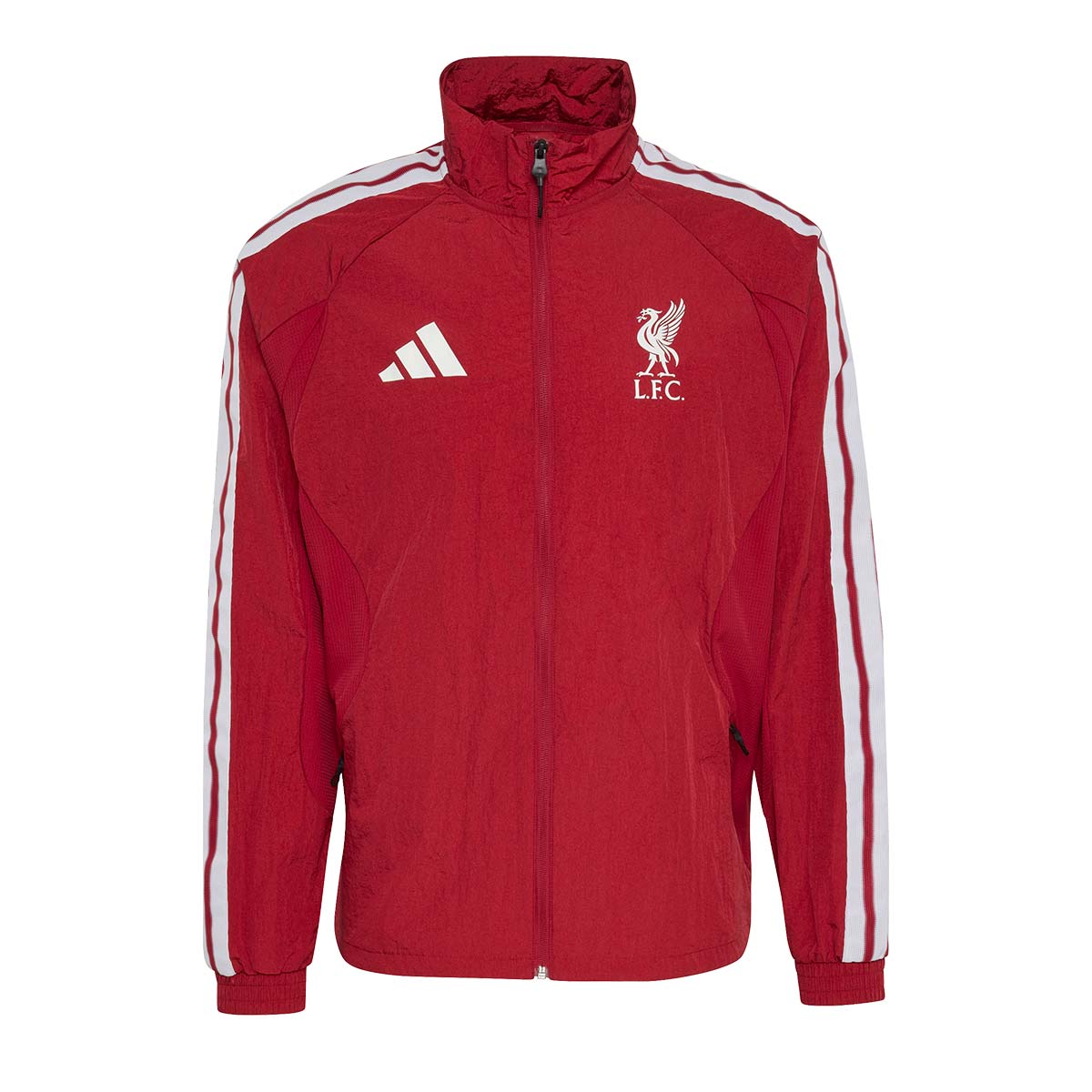 LFC H ANTH ACTMAR L