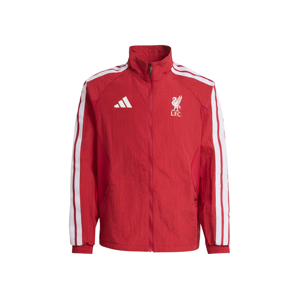 LFC H ANTH Y ACTMAR L