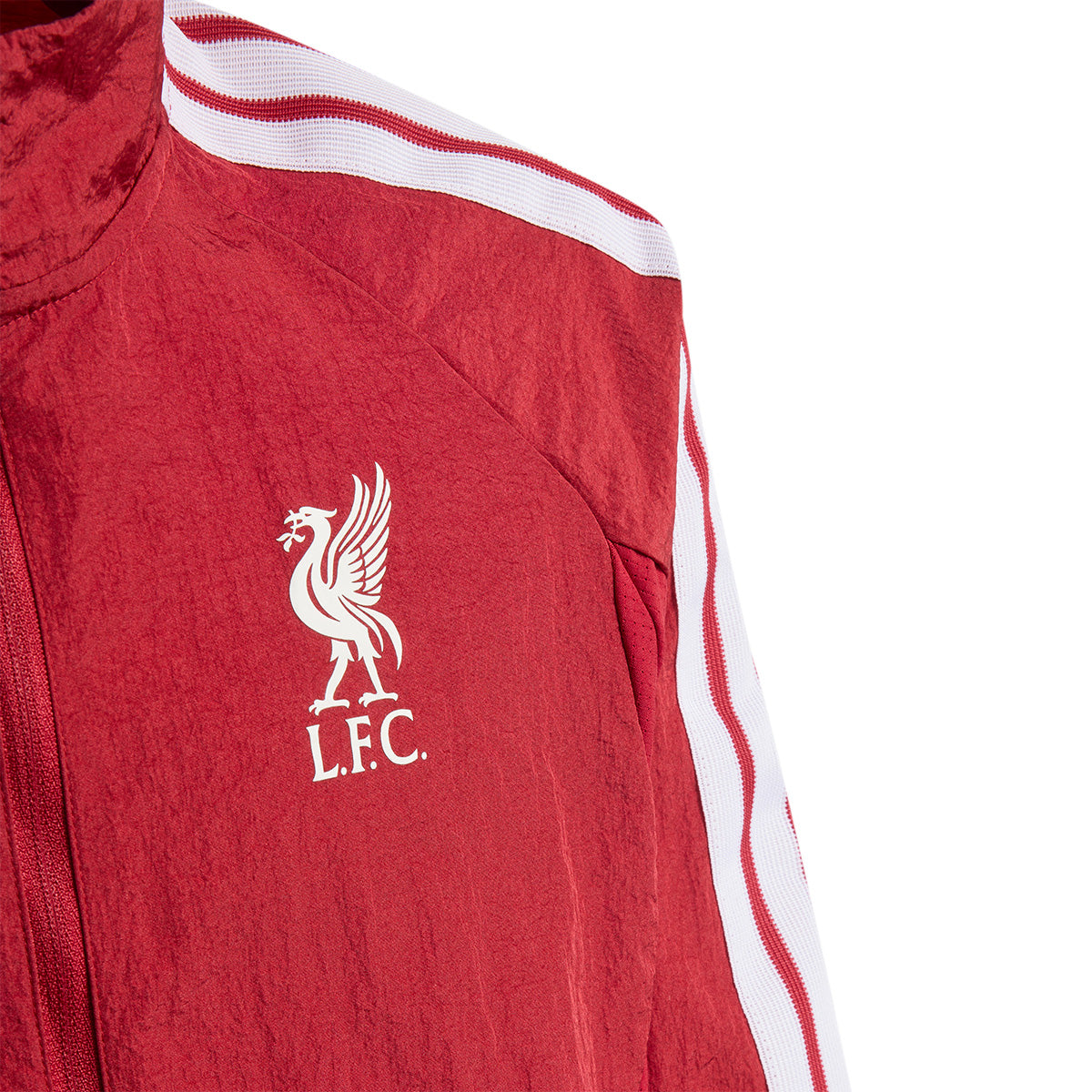 LFC H ANTH Y ACTMAR L
